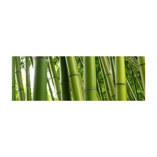 Wohndeko Pflanzen Bamboo Trees