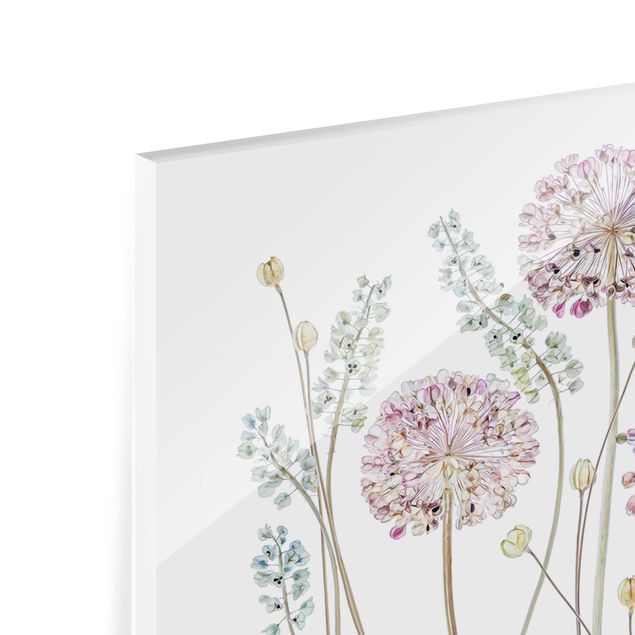Glasrückwand Küche Blumen Allium Illustration