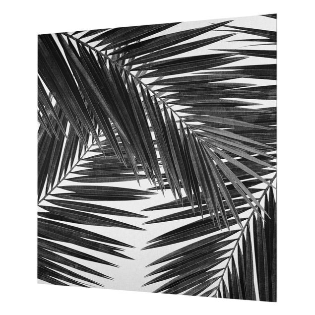 Wanddeko Illustration Blick durch Palmenblätter schwarz weiß