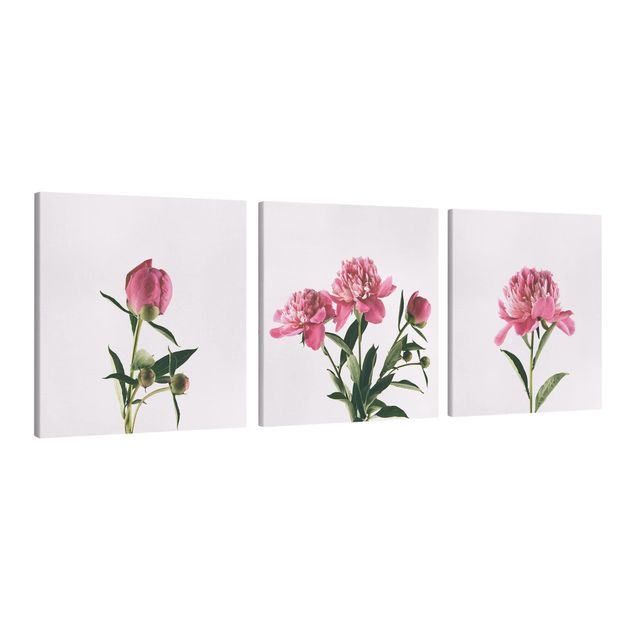 Wohndeko Blume Pinke Pfingstrosen Trio