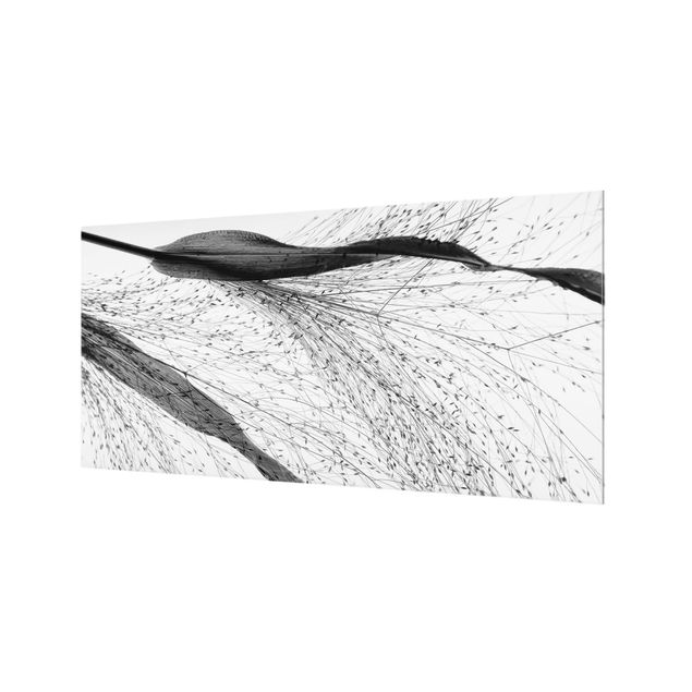 Glasrückwand Küche Blumen Zartes Schilf mit feinen Knospen Schwarz Weiß