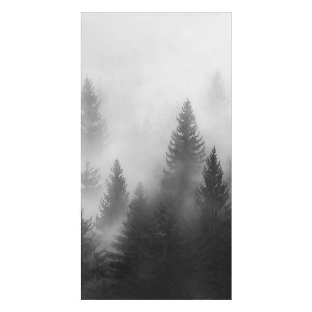 Deko Wald Nadelwald im Nebel Schwarz Weiß