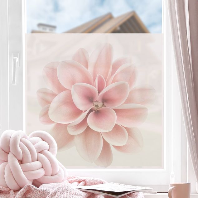 Wanddeko Schlafzimmer Dahlie Rosa Pastell Blume Zentriert