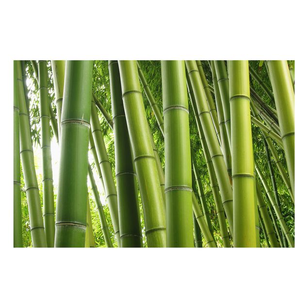 Deko Tropisch Bamboo Trees
