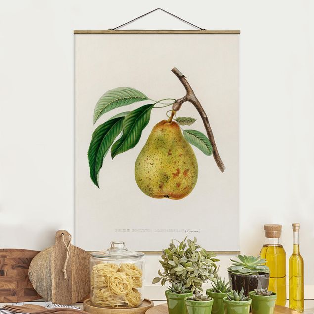 Küche Dekoration Botanik Vintage Illustration Gelbe Birne