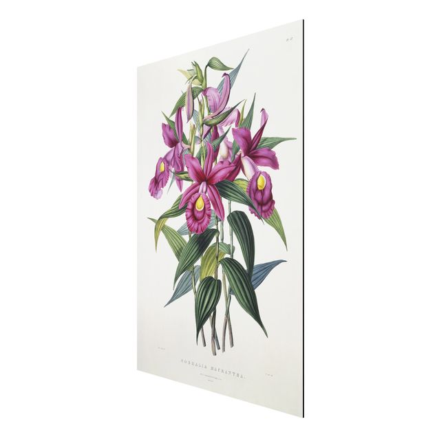 Wohndeko Blume Maxim Gauci - Orchidee I