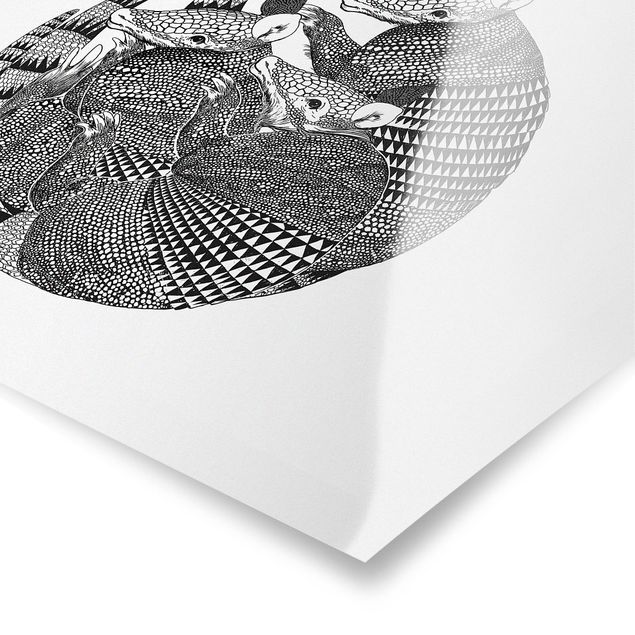 Wanddeko Treppenhaus Illustration Gürteltiere Schwarz Weiß Muster