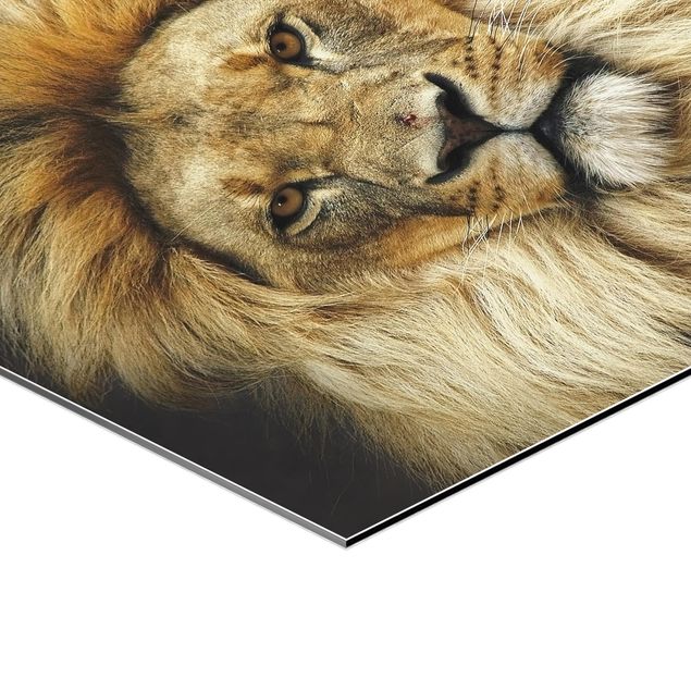 Wanddeko über Sofa Wisdom of Lion