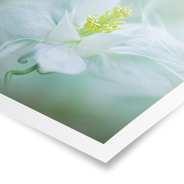 Wohndeko Blume Weiße Akelei