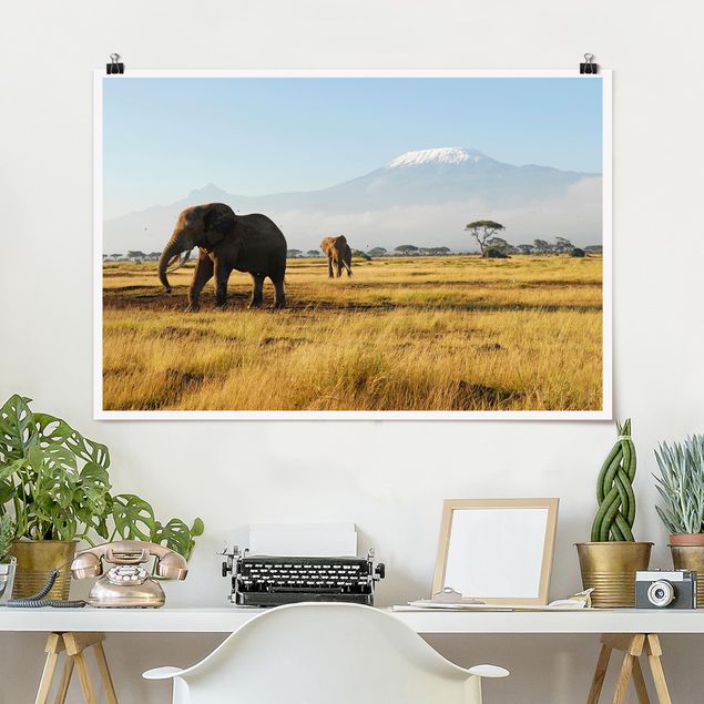 Deko Afrika Elefanten vor dem Kilimanjaro in Kenya