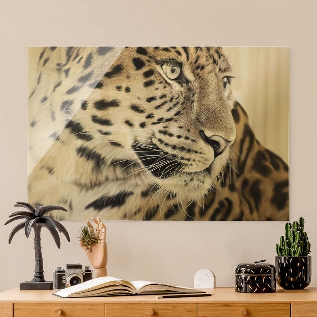 Wandbilder Katzen Der Leopard