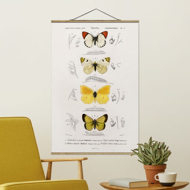 Wanddeko Wohnzimmer Vintage Lehrtafel Schmetterlinge II
