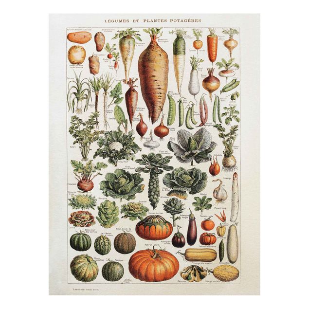 Wanddeko Esszimmer Vintage Lehrtafel Gemüse