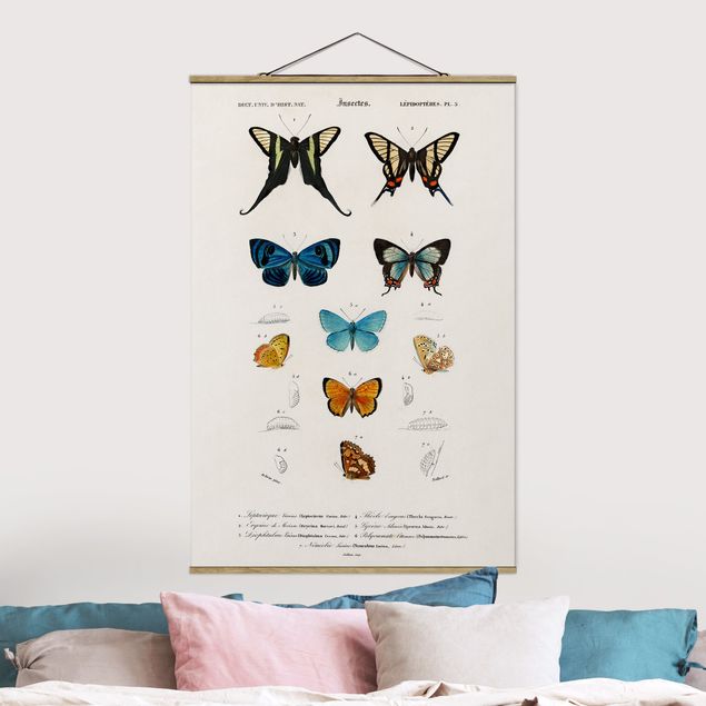 Wanddeko blau Vintage Lehrtafel Schmetterlinge I