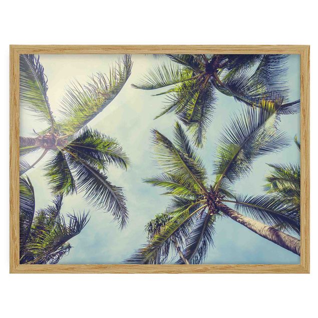 Wanddeko Esszimmer Die Palmen