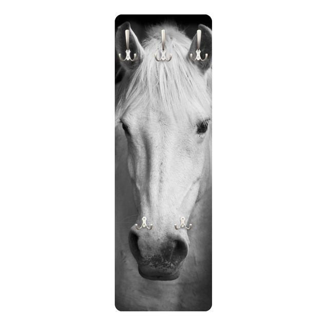 Wanddeko schwarz-weiß Dream of a Horse