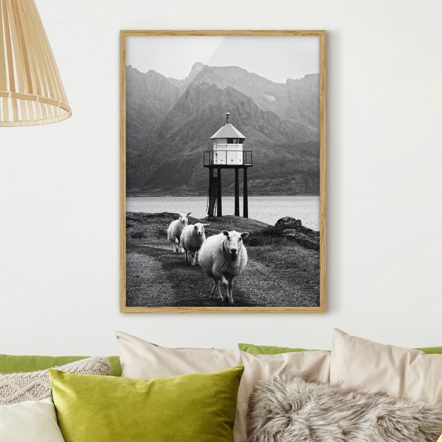 Wanddeko Wohnzimmer Drei Schafe auf den Lofoten