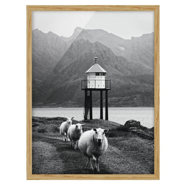 Wanddeko Esszimmer Drei Schafe auf den Lofoten