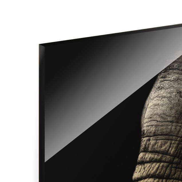 Wanddeko Treppenhaus Dunkles Elefanten Portrait