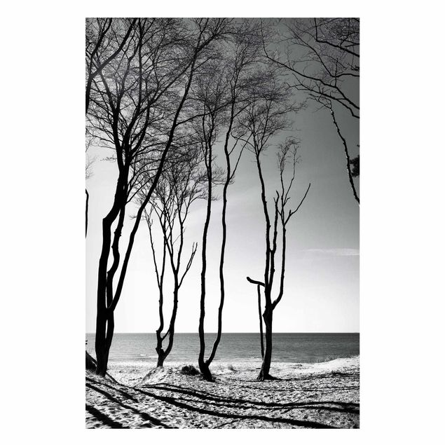Wanddeko Esszimmer Bäume an der Ostsee