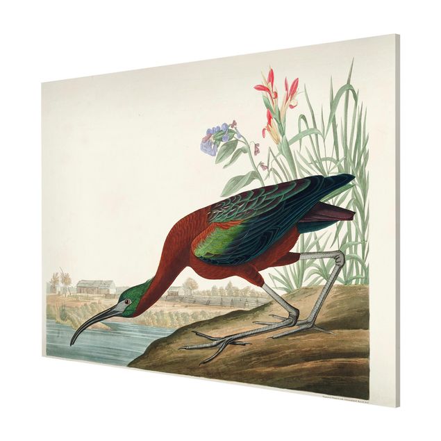 Wanddeko Esszimmer Vintage Lehrtafel Brauner Ibis