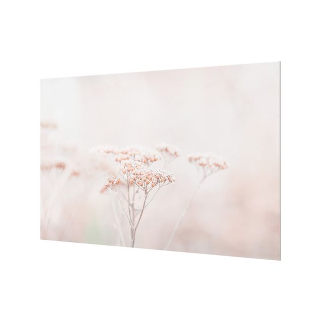 Wohndeko Fotografie Zartrosane Wildblumen