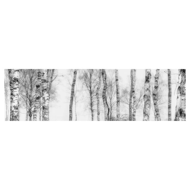 Küchenrückwand Folie Mystischer Birkenwald Schwarz-weiß