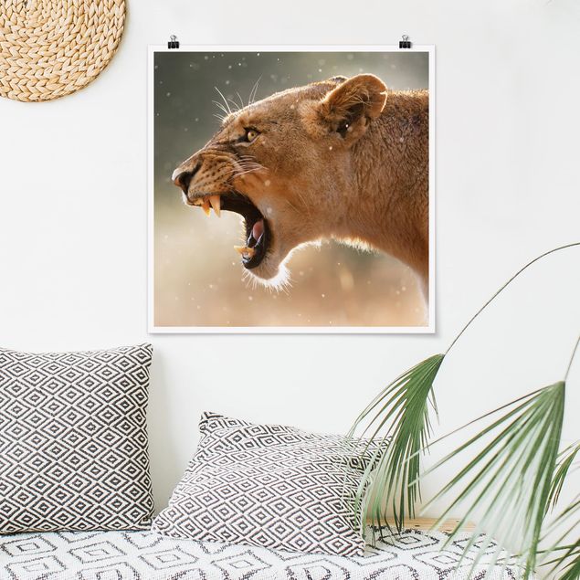 Wanddeko Büro Löwin auf der Jagd