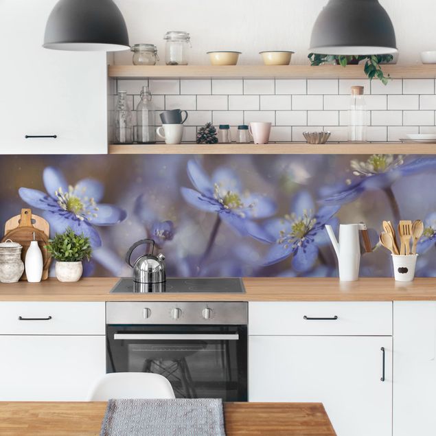 Küchen Deko Anemonen in Blau