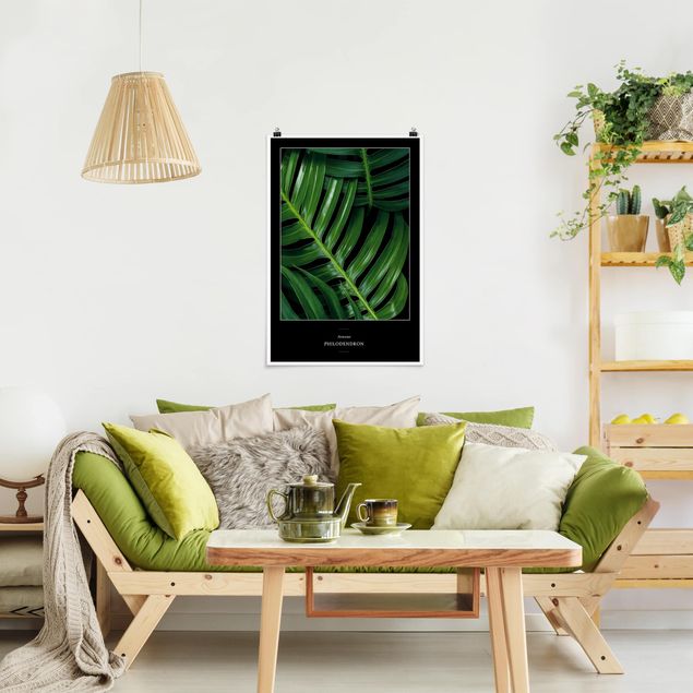 Wanddeko Flur Tropische Blätter Philodendron