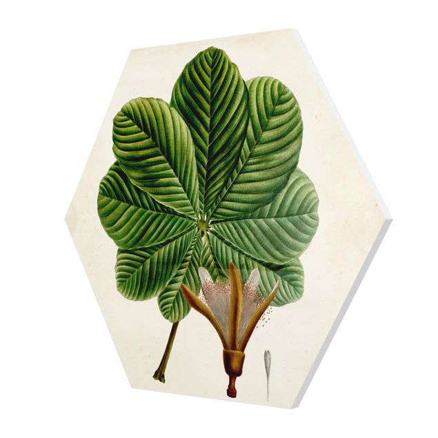 Wanddeko Pflanzen Laubbaum Schautafel II