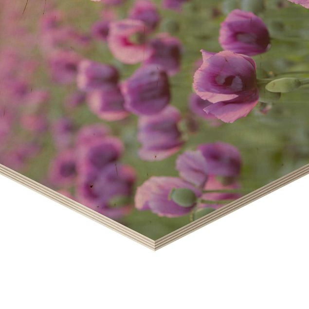 Wanddeko Praxis Violette Schlafmohn Blumenwiese im Frühling