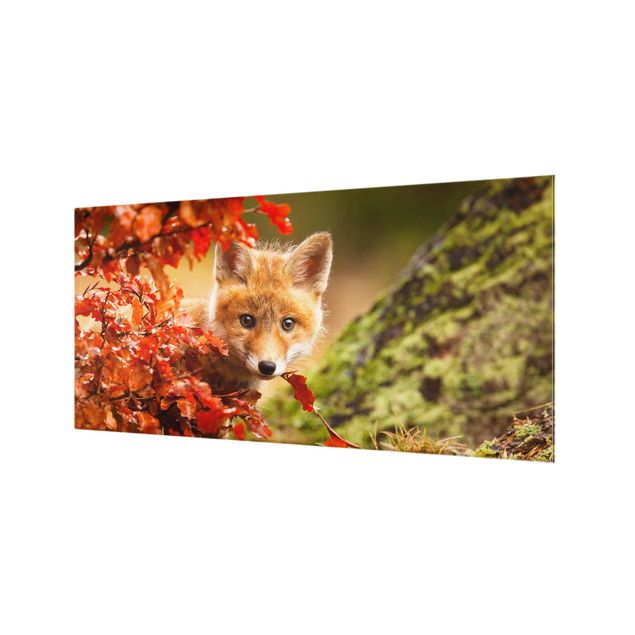 Wanddeko Tiere Fuchs im Herbst