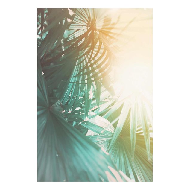 Wanddeko Büro Tropische Pflanzen Palmen bei Sonnenuntergang