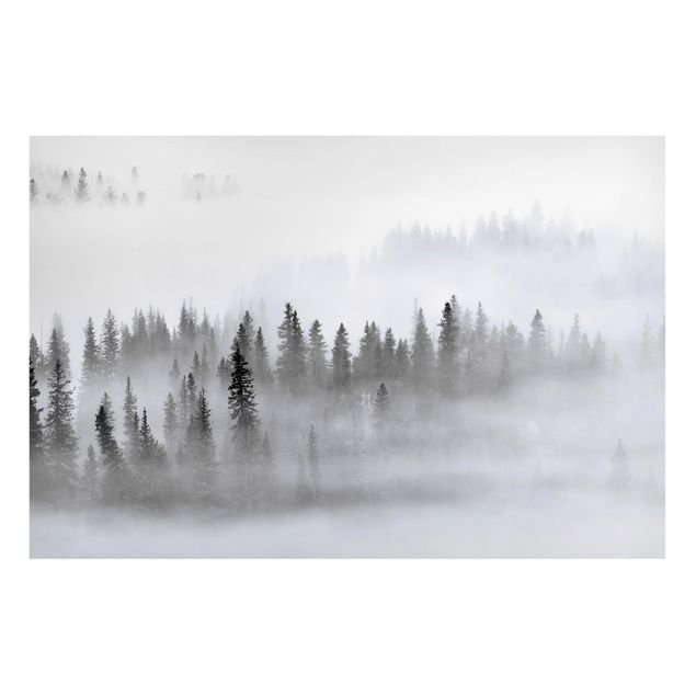 Wanddeko Esszimmer Nebel im Tannenwald Schwarz-Weiß