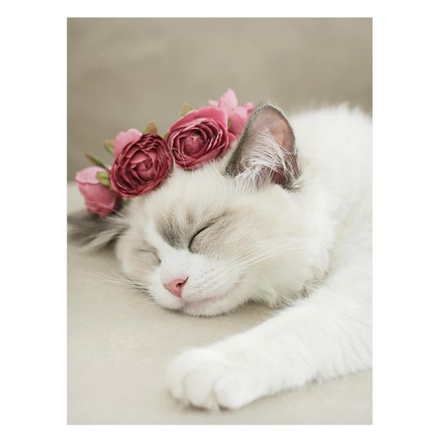 Wanddeko Büro Schlafende Katze mit Rosen