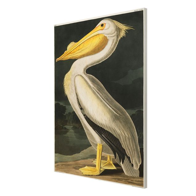 Wanddeko Esszimmer Vintage Lehrtafel Weißer Pelikan