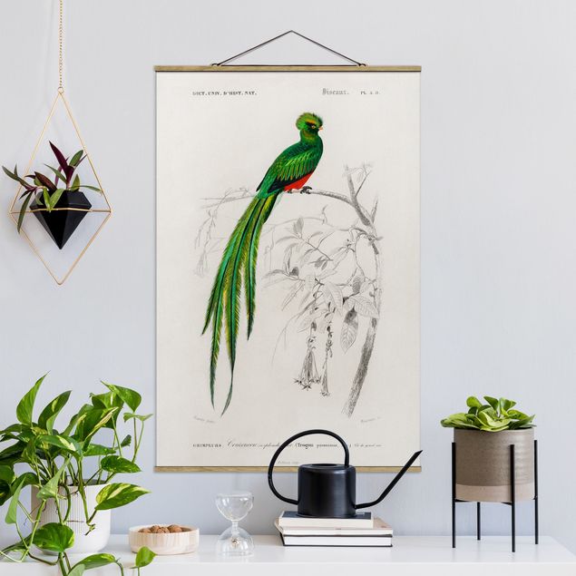 Wanddeko Wohnzimmer Vintage Lehrtafel Tropischer Vogel I