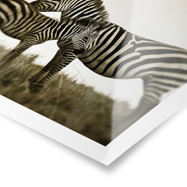 Wanddeko Esszimmer Zebrapaar