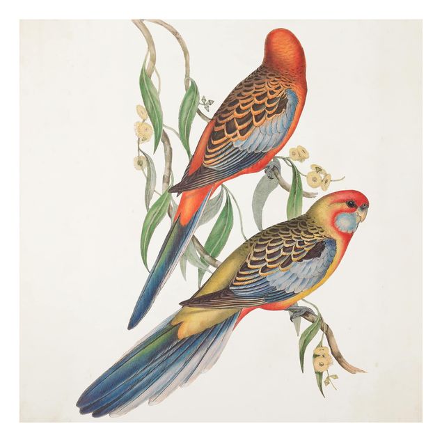 Wanddeko Vintage Tropische Papageien II