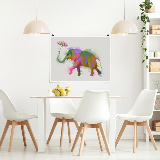 Wandbilder Elefanten Regenbogen Splash Elefant