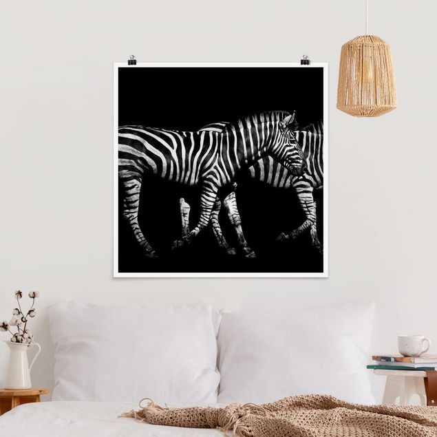 Wanddeko Flur Zebra vor Schwarz