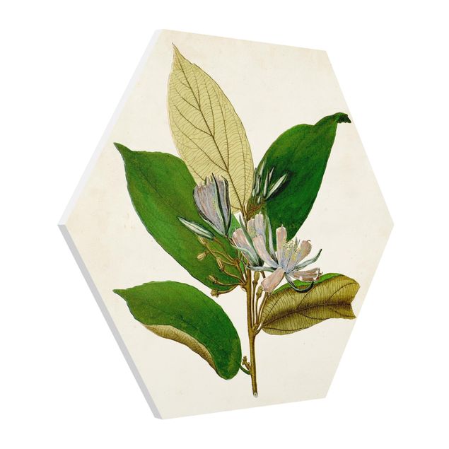 Wanddeko grün Laubbaum Schautafel IV