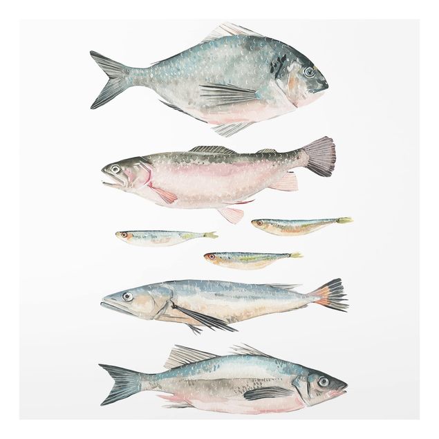 Wanddeko Illustration Sieben Fische in Aquarell II