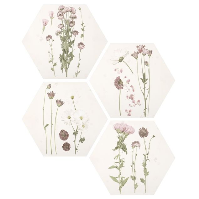 Wanddeko Flur Herbarium in rosa Set I