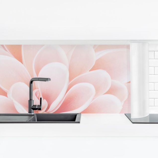 Küchenrückwand Folie Blumen Dahlie in Pastellrosa
