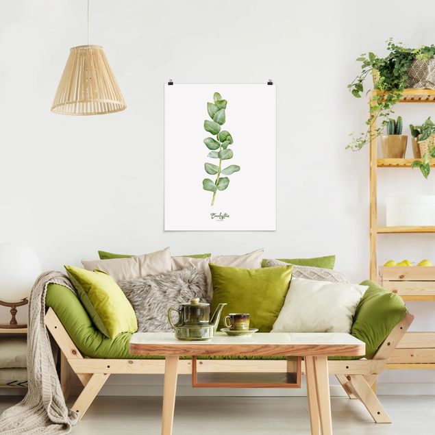 Wanddeko Wohnzimmer Aquarell Botanik Eukalyptus