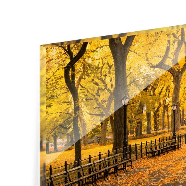 Glasrückwand Küche Herbst im Central Park