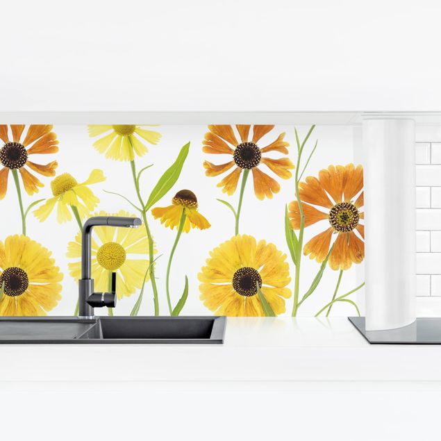 Küchenrückwand Folie Blumen Helenium