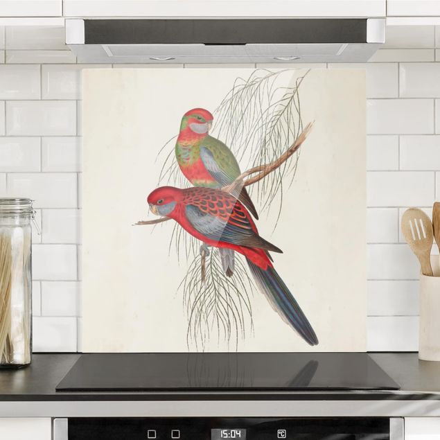 Küche Dekoration Tropische Papageien III